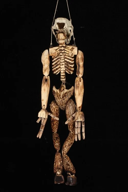 Creature-Back