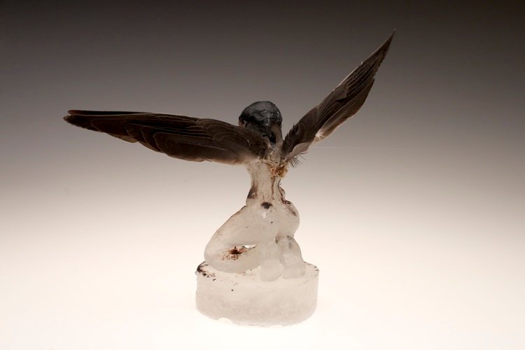 Putrescent Efflorescence